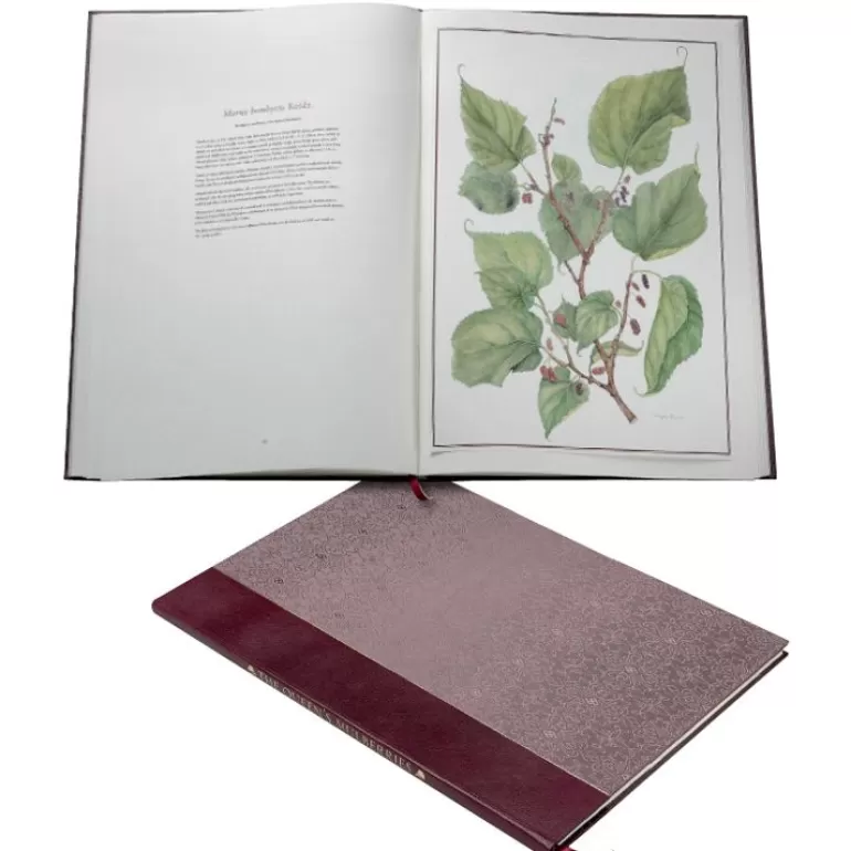 Royal Collection Shop Limited Edition The Queen'S Mulberries | Royal Collection Publications